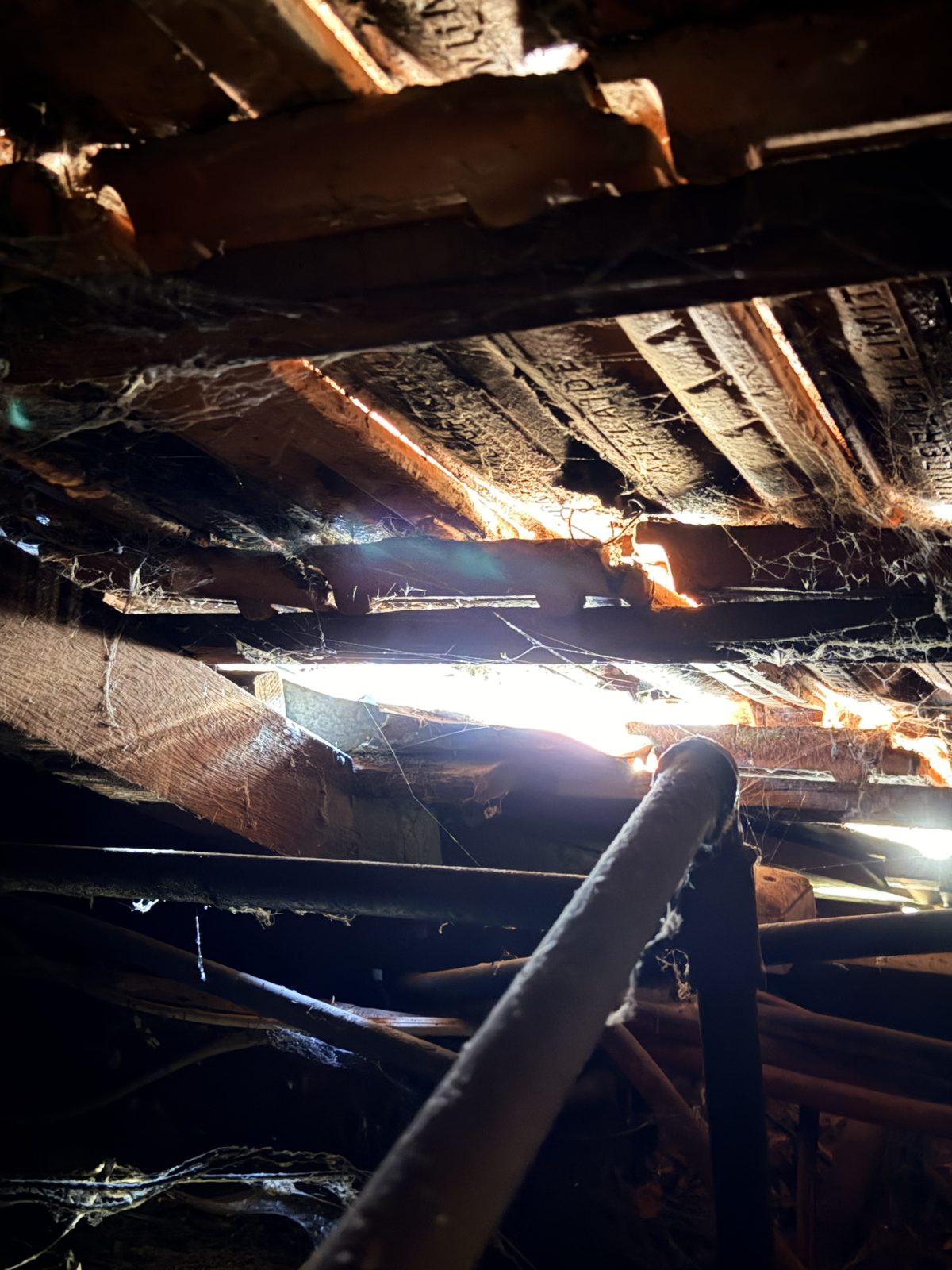 Gaps and damaged roof timber providing possums an easy entry point